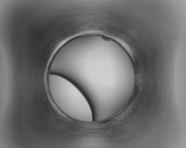 X0000112750911200908201011