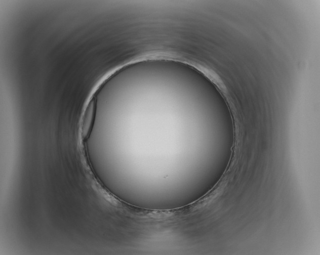 X0000112750912200908201011