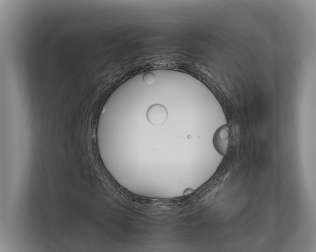X0000112750913200908201010