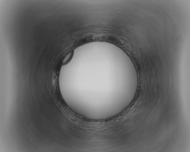 X0000112750914200908201010