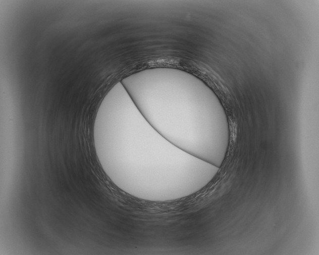 X0000112750915200908201010