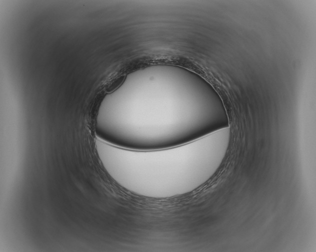 X0000112750916200908201010
