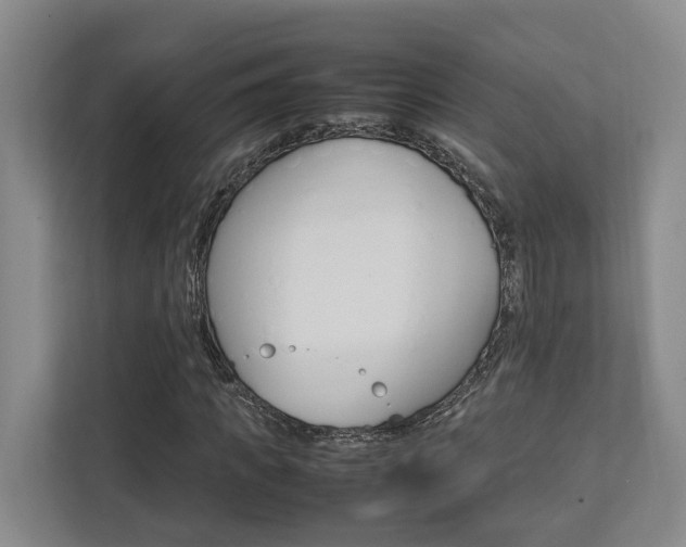 X0000112750917200908201010
