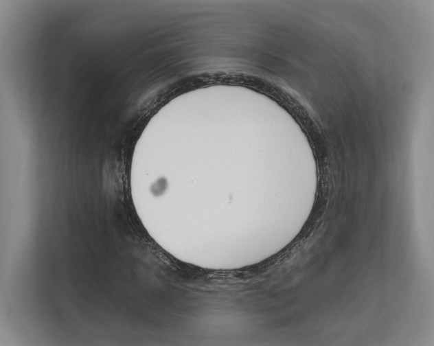 X0000112750918200908201010