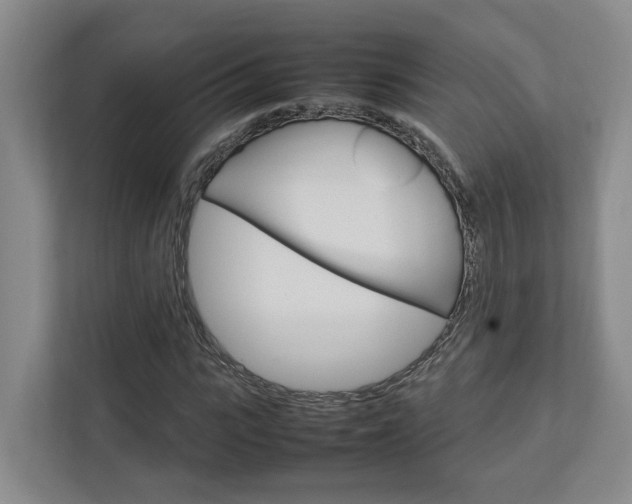 X0000112750919200908201010