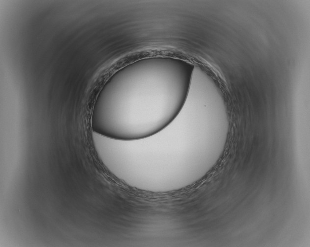 X0000112750920200908201010