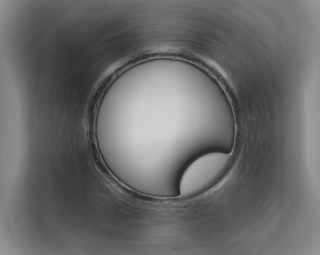 X0000112750922200908201010