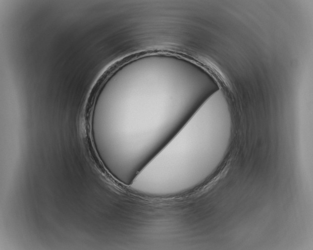 X0000112750924200908201010