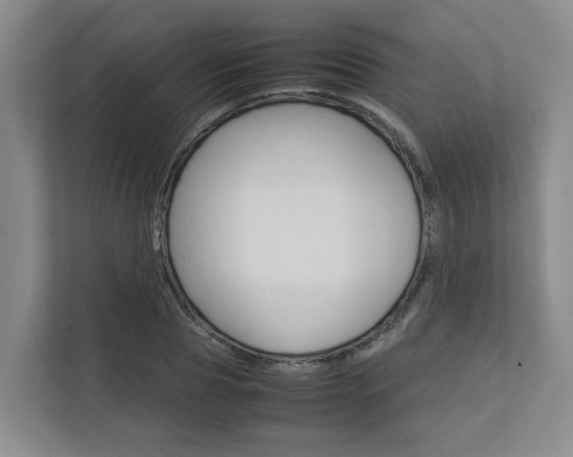 X0000112750929200908201010