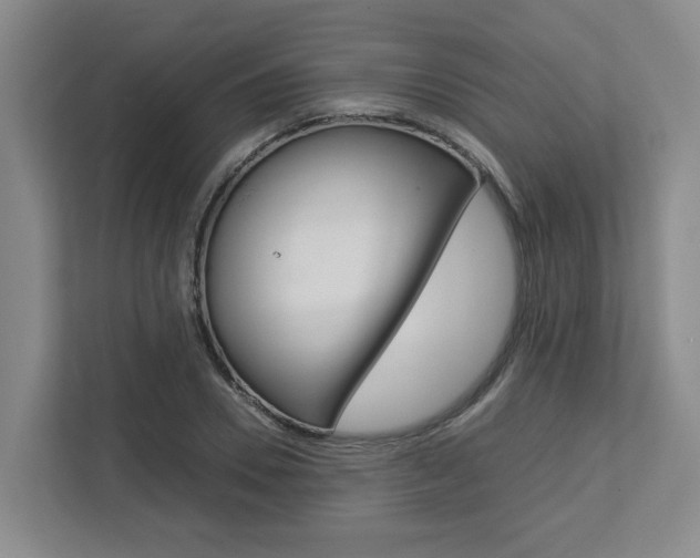 X0000112750930200908201010