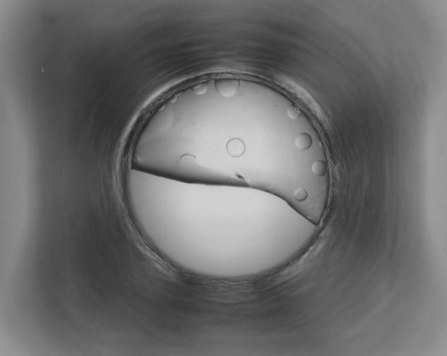 X0000112750931200908201010