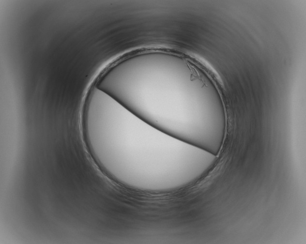X0000112750935200908201010
