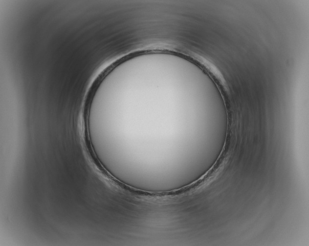 X0000112750936200908201010