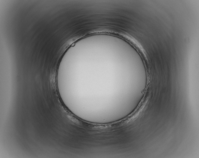 X0000112750937200908201010