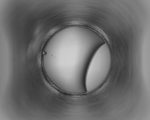 X0000112750938200908201010