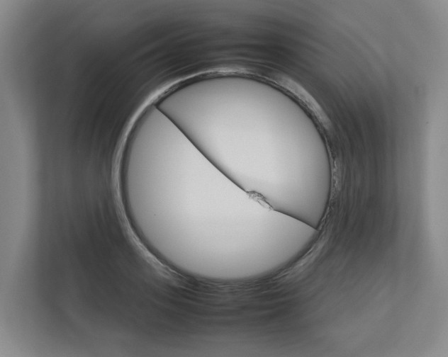 X0000112750939200908201010