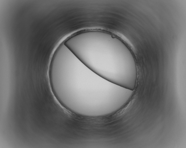 X0000112750943200908201010