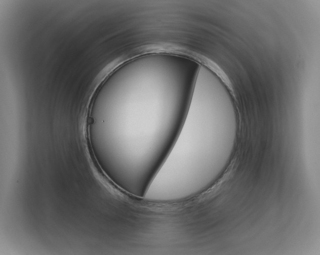 X0000112750946200908201010