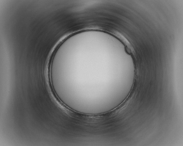 X0000112750947200908201010