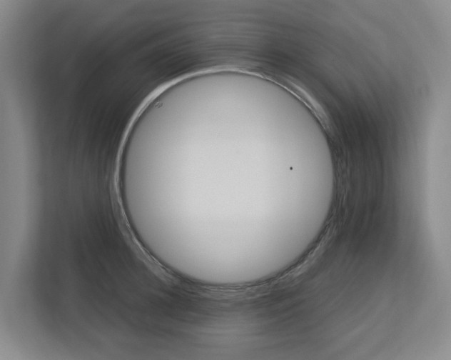 X0000112750948200908201010