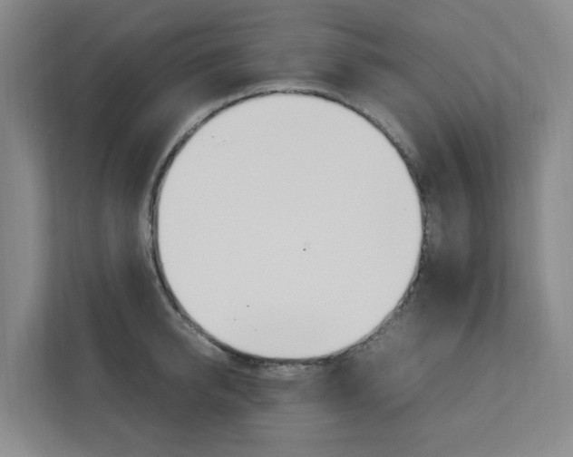 X0000112750950200908201010