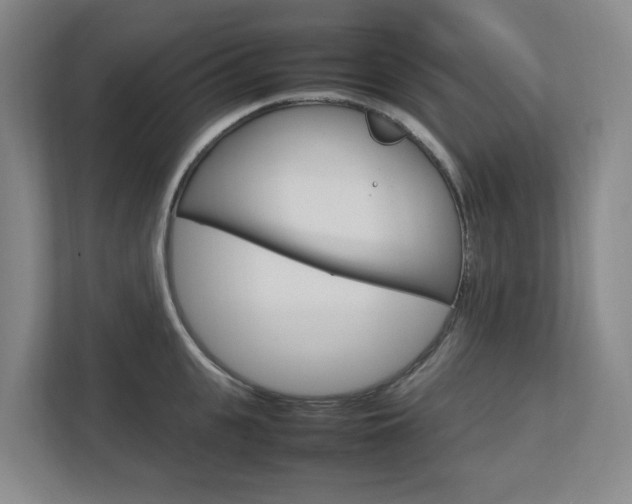 X0000112750951200908201010