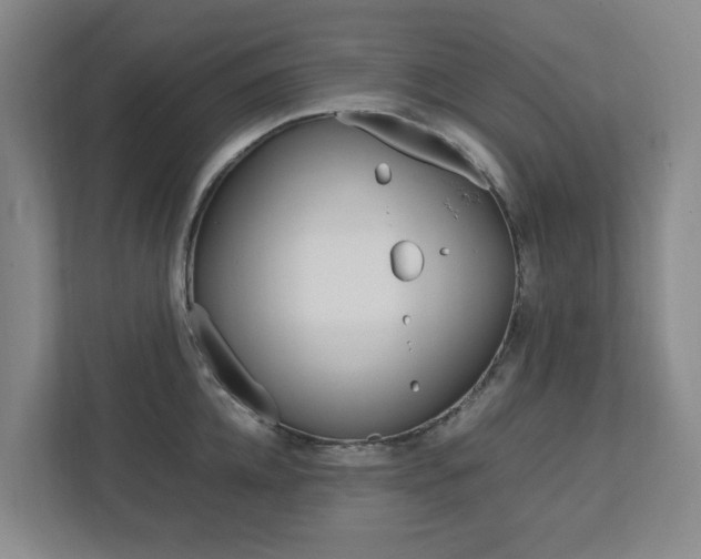 X0000112750952200908201010