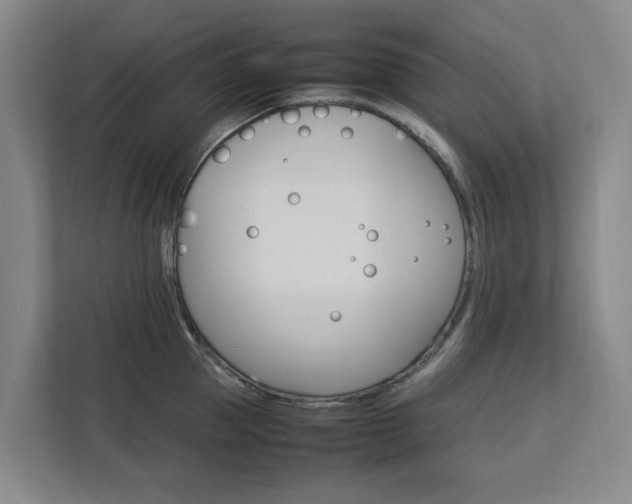 X0000112750953200908201010