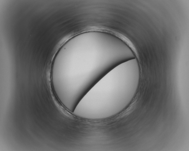 X0000112750954200908201011