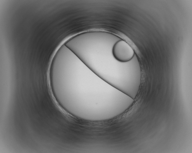 X0000112750955200908201011