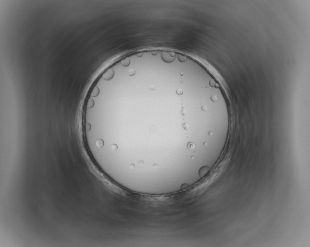 X0000112750957200908201011