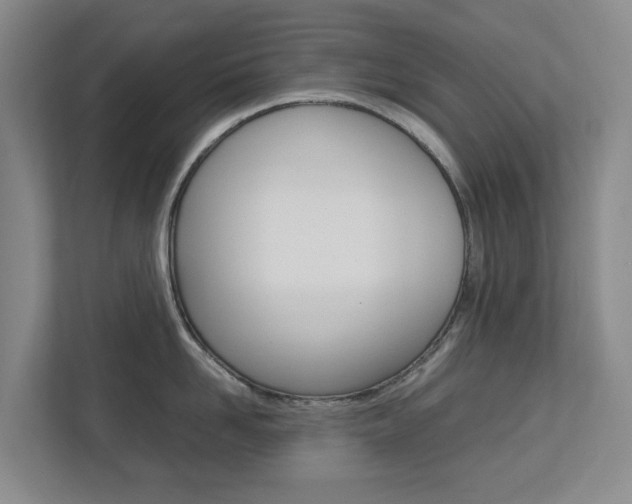 X0000112750958200908201011
