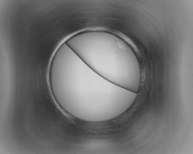 X0000112750959200908201011