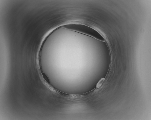 X0000112750960200908201011