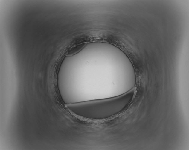 X0000112750961200908201010