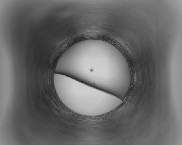 X0000112750964200908201010