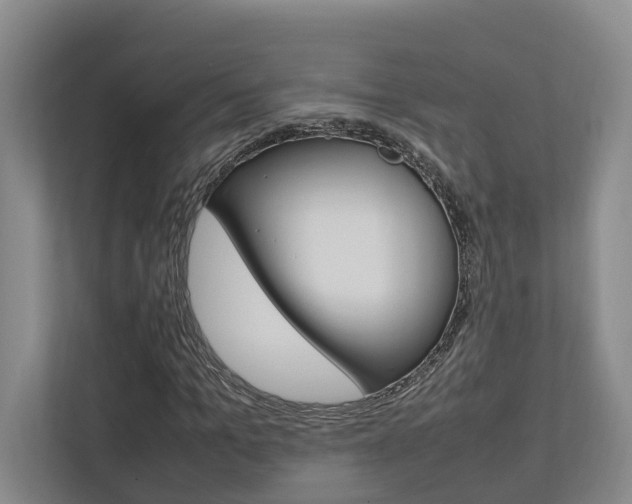 X0000112750965200908201010