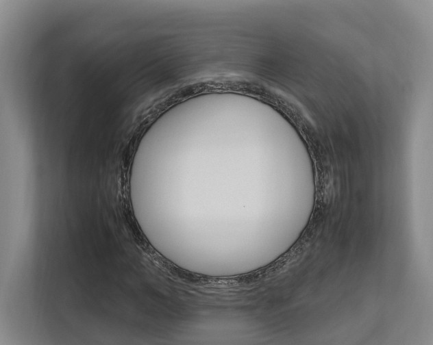 X0000112750966200908201010