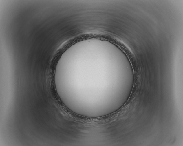 X0000112750968200908201010