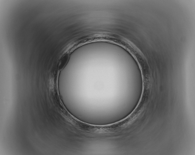 X0000112750969200908201010