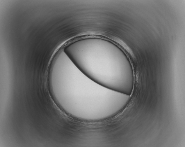 X0000112750972200908201010