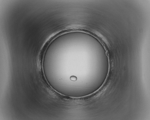 X0000112750973200908201010