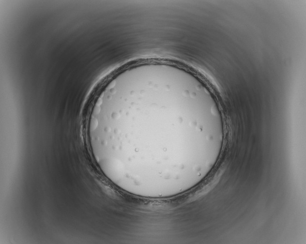 X0000112750974200908201010