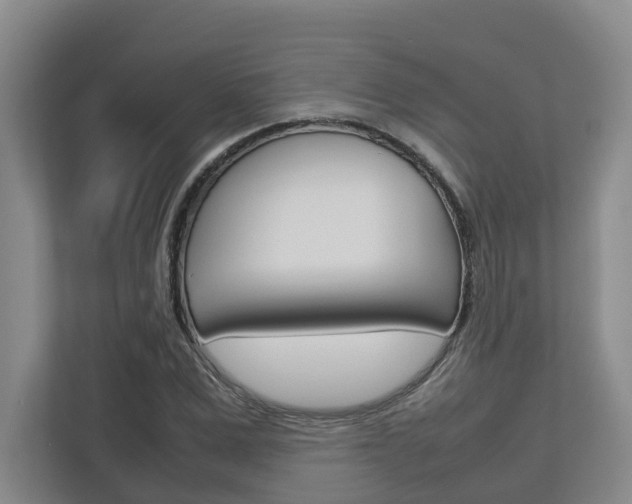 X0000112750975200908201010