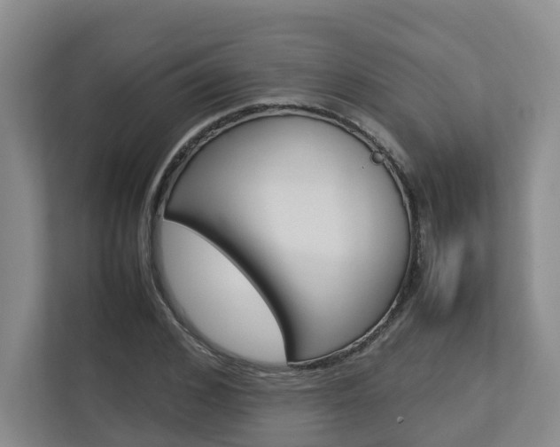 X0000112750976200908201010