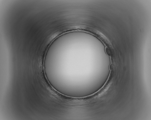 X0000112750977200908201010