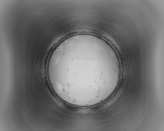 X0000112750978200908201010