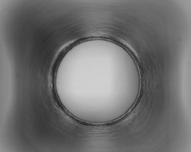X0000112750979200908201010