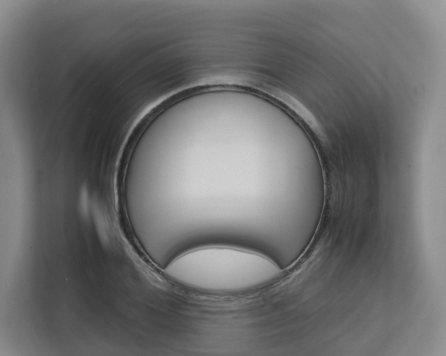 X0000112750980200908201010