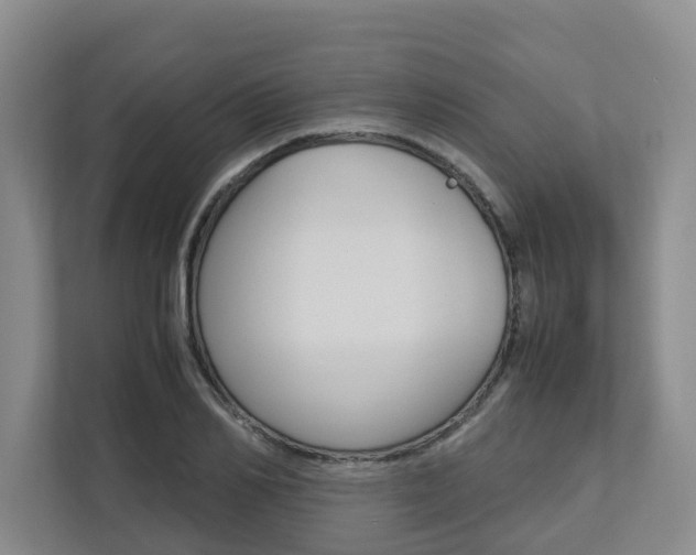 X0000112750982200908201010